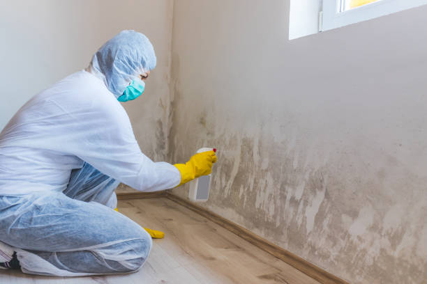 Commercial Mold Remediation assessment for commercial property in Glenmoore