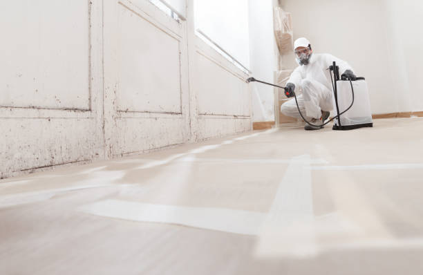 Black mold remediation team in Glenmoore